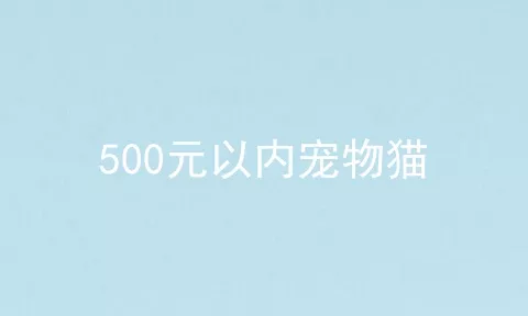 500元以内宠物猫