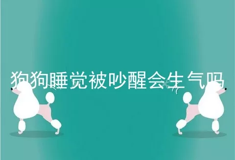 狗狗睡觉被吵醒会生气吗