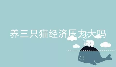 养三只猫经济压力大吗