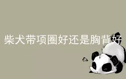 柴犬带项圈好还是胸背好