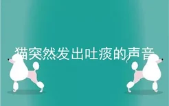 猫突然发出吐痰的声音