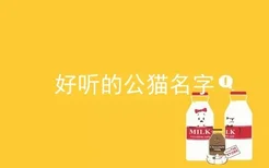 好听的公猫名字