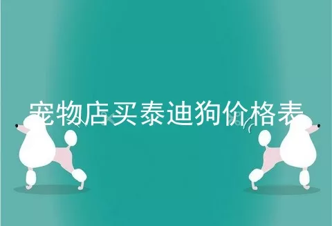 宠物店买泰迪狗价格表