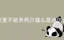 家里不能养两只猫么是迷信么