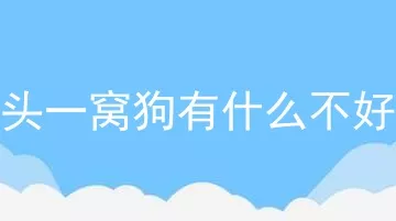 头一窝狗有什么不好