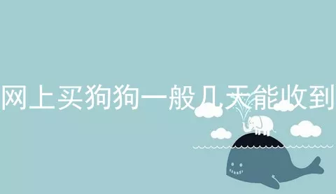 网上买狗狗一般几天能收到