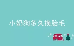 小奶狗多久换胎毛