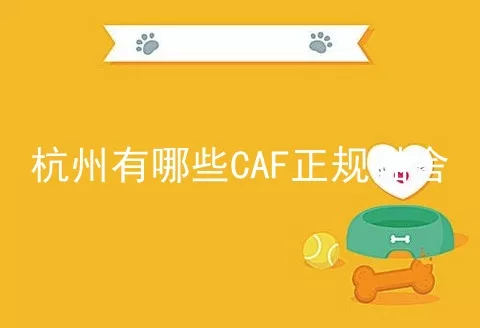 杭州有哪些CAF正规猫舍