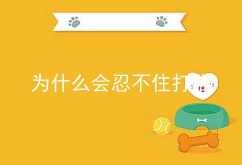 为什么会忍不住打猫