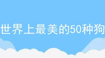 世界上最美的50种狗