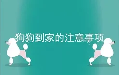 狗狗到家的注意事项