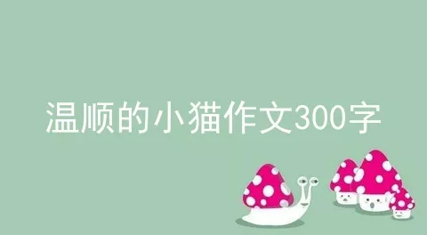 温顺的小猫作文300字