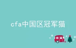 cfa中国区冠军猫