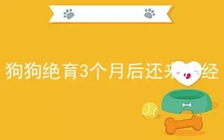 狗狗绝育3个月后还来月经