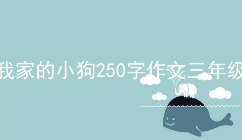 我家的小狗250字作文三年级