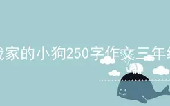 我家的小狗250字作文三年级