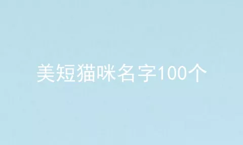 美短猫咪名字100个