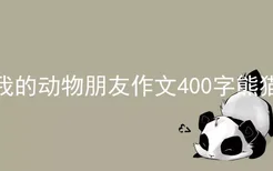 我的动物朋友作文400字熊猫