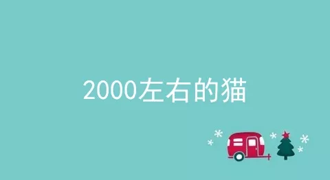 2000左右的猫