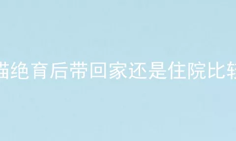 公猫绝育后带回家还是住院比较好