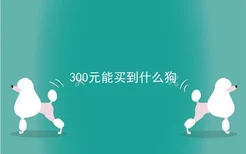 300元能买到什么狗