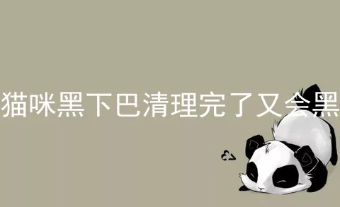 猫咪黑下巴清理完了又会黑