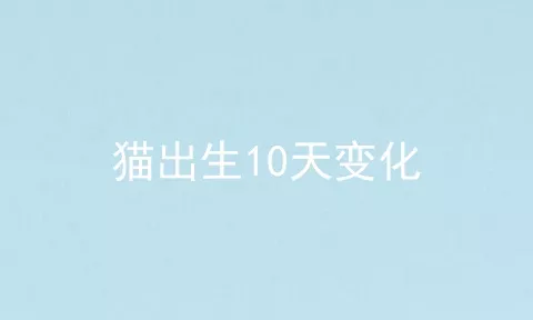 猫出生10天变化