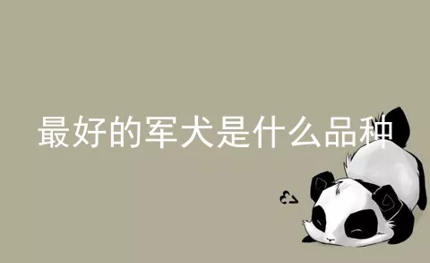 最好的军犬是什么品种