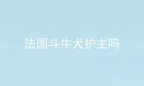 法国斗牛犬护主吗