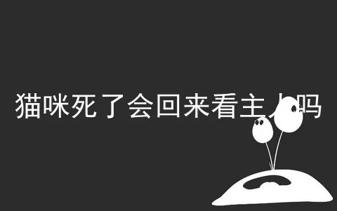 猫咪死了会回来看主人吗