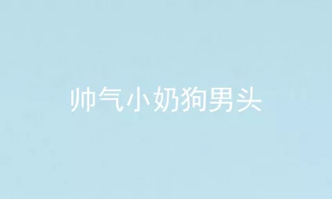 帅气小奶狗男头