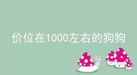 价位在1000左右的狗狗