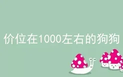 价位在1000左右的狗狗