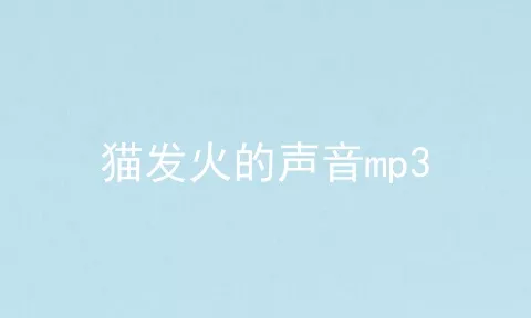 猫发火的声音mp3