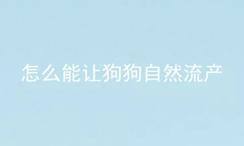 怎么能让狗狗自然流产