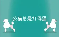 公猫总是打母猫