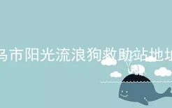 乌市阳光流浪狗救助站地址