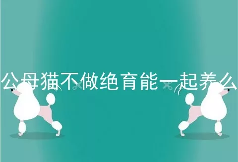 公母猫不做绝育能一起养么