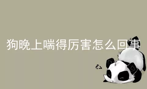 狗晚上喘得厉害怎么回事