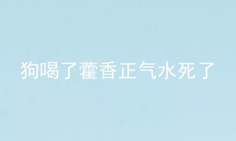 狗喝了藿香正气水死了