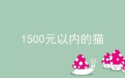 1500元以内的猫