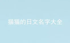 猫猫的日文名字大全