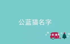 公蓝猫名字