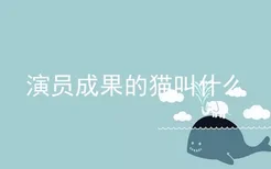 演员成果的猫叫什么