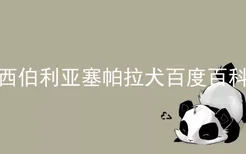 西伯利亚塞帕拉犬百度百科