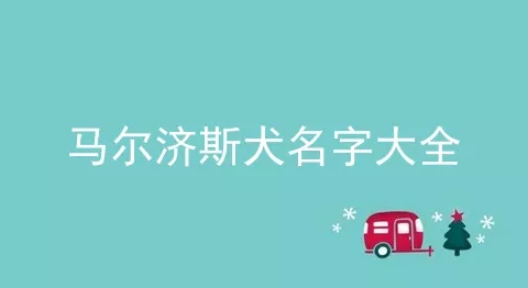 马尔济斯犬名字大全