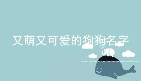 又萌又可爱的狗狗名字