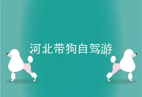 河北带狗自驾游