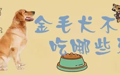 金毛犬不能吃哪些东西