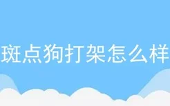 斑点狗打架怎么样